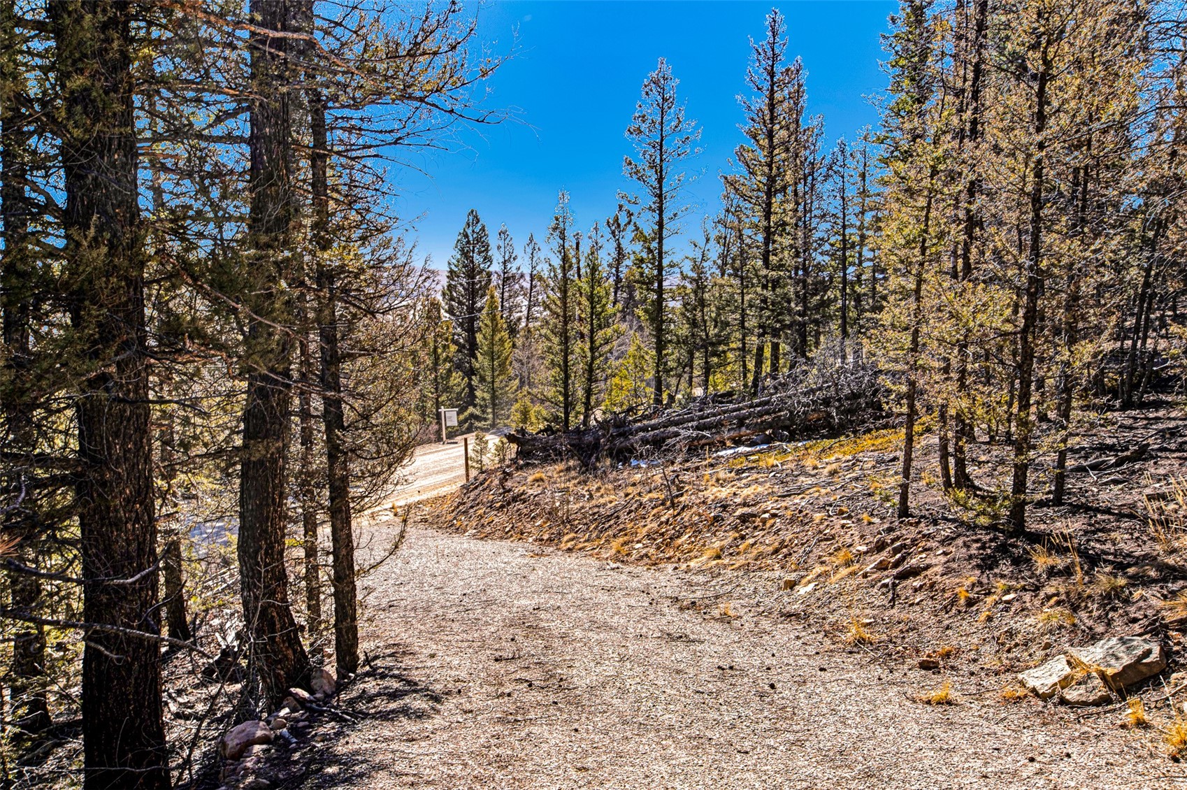 2623 Redhill Road Fairplay, CO 80440 - Photo 7 of 27