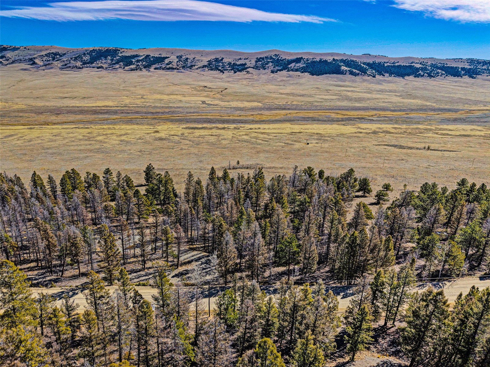 2623 Redhill Road Fairplay, CO 80440 - Photo 8 of 27