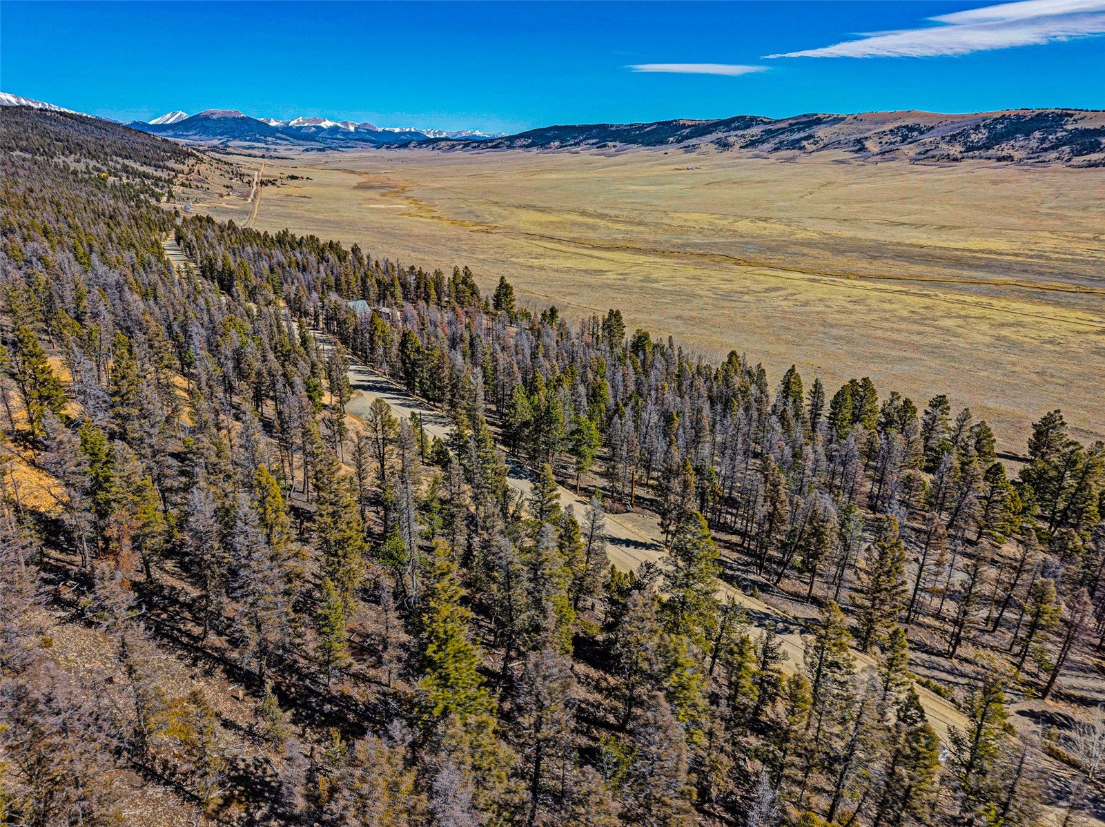 2623 Redhill Road Fairplay, CO 80440 - Photo 9 of 27