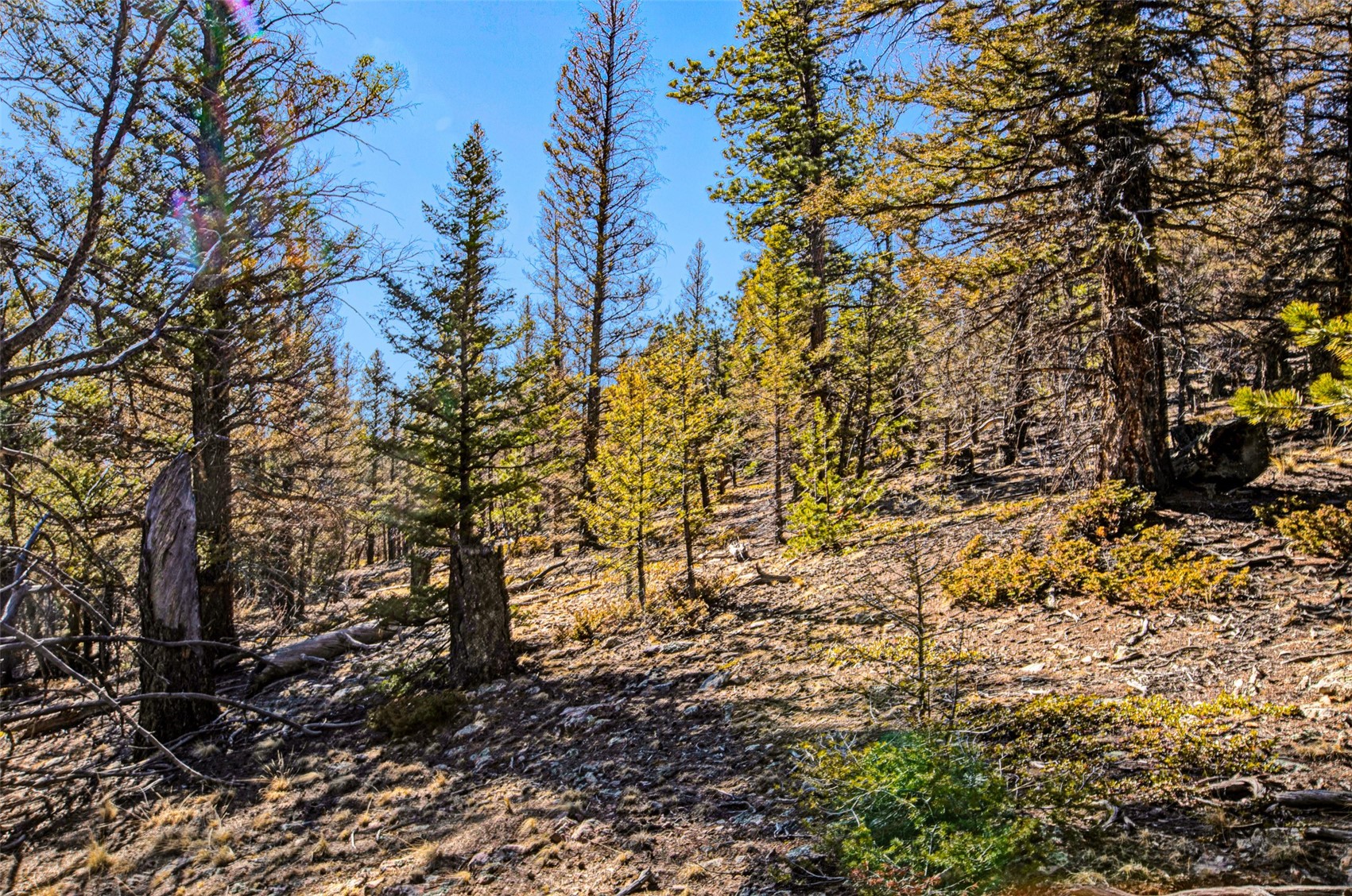 2623 Redhill Road Fairplay, CO 80440 - Photo 10 of 27