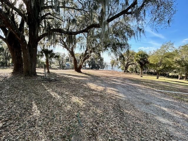 25800 Washington Street Astatula, FL 34705 - Photo 3 of 14 a view of road with trees