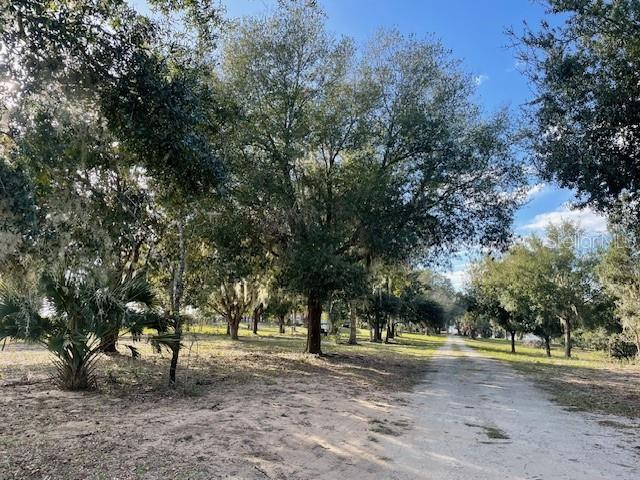 25800 Washington Street Astatula, FL 34705 - Photo 8 of 14 a view of a tree in the middle of a yard