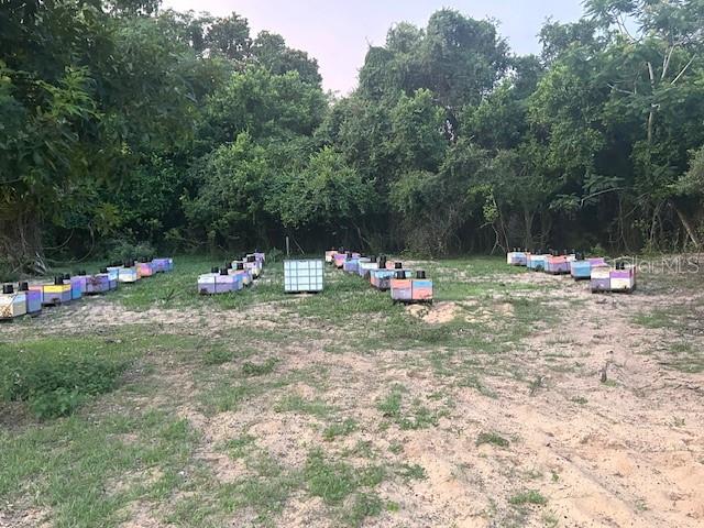 25800 Washington Street Astatula, FL 34705 - Photo 9 of 14 a backyard of a house with lots of green space and fountain