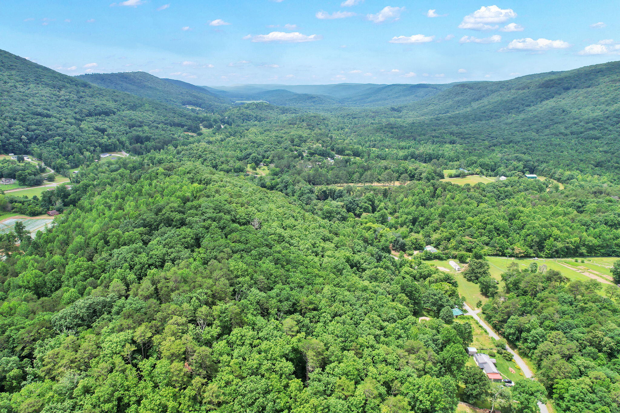 1241 Upper Cove Loop Road Dayton, TN 37321 - Photo 4 of 15 12-web-or-mls-DJI_0063