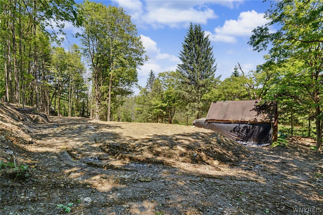 8176 Irish Road Colden, NY 14033 - Photo 35 of 41