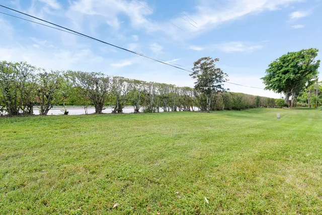 a view of a tree in front of a house with a fountain