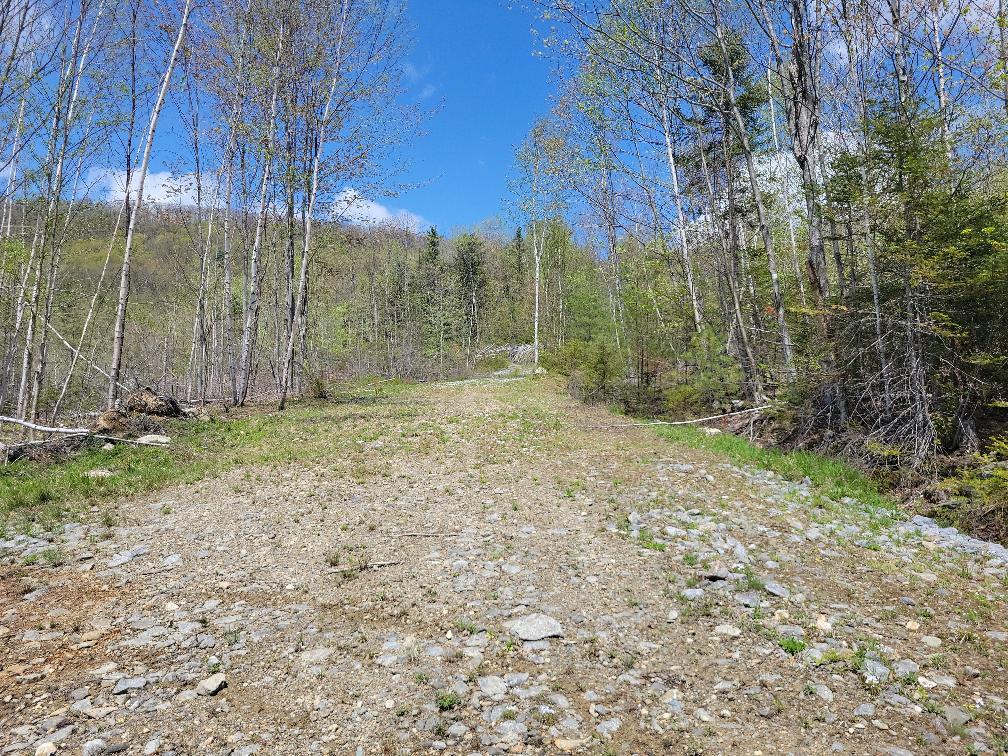 Lot 11 Swift River Road Byron, ME 04275 - Photo 54 of 72 photo_e43c75c4-7ab3-4037-bb02-4d3d5ec2ba