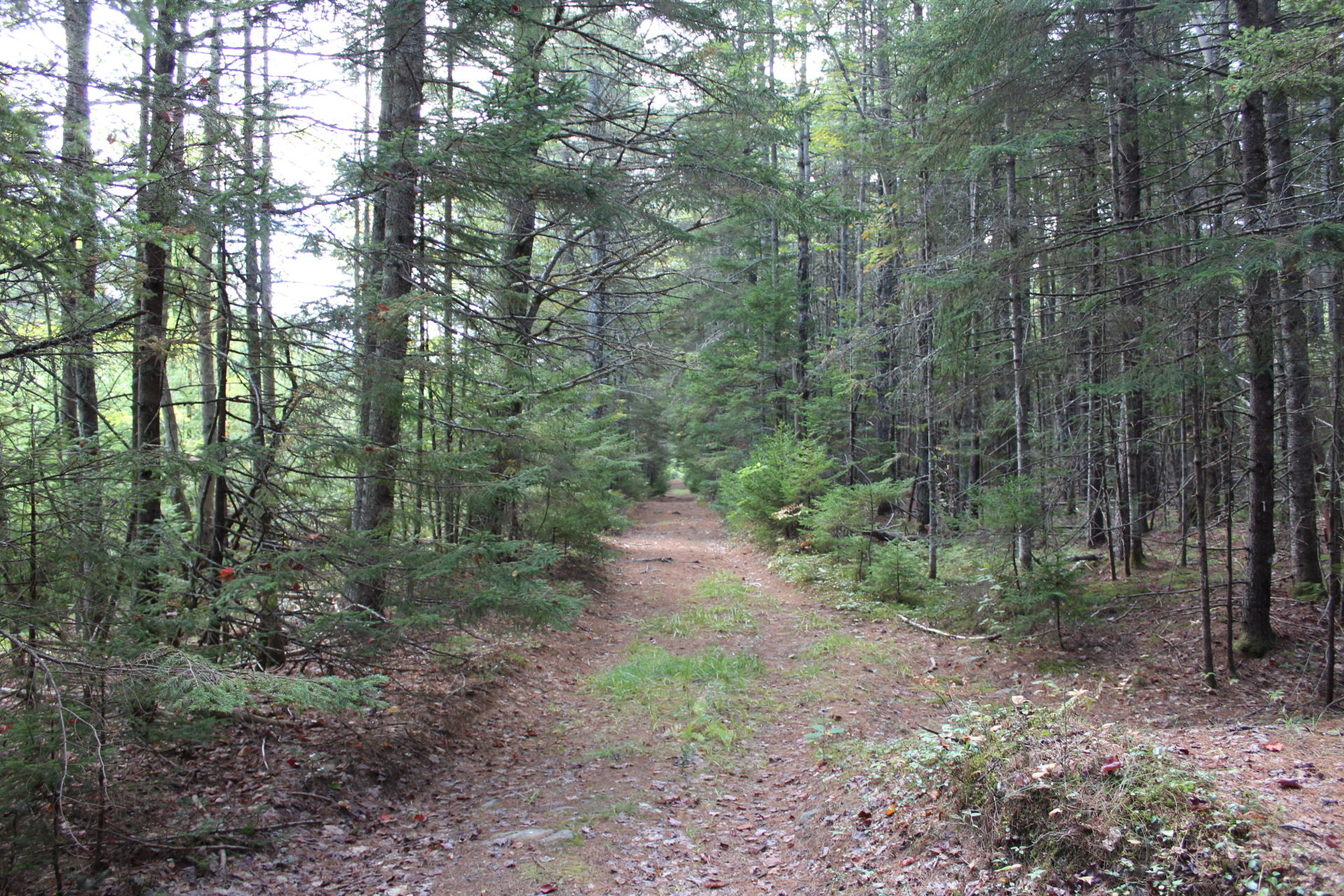 95 Black Road South Searsport, ME 04974 - Photo 126 of 140 IMG_1952