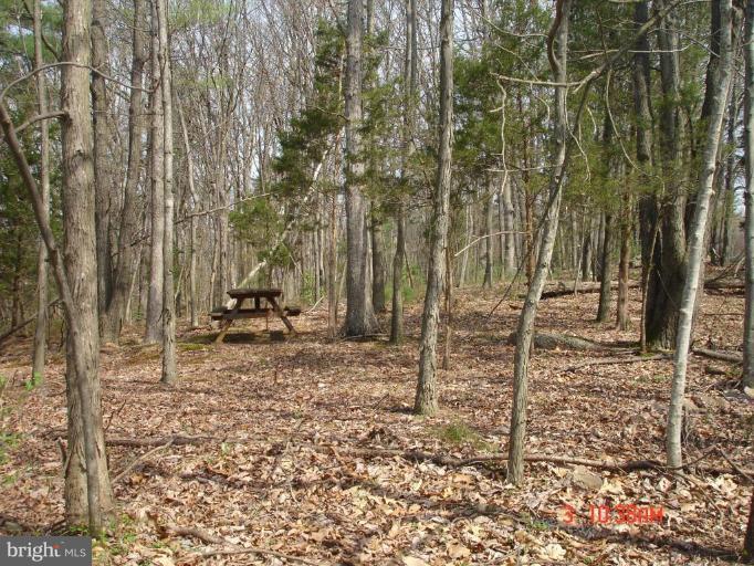 2551 Stone Road Westminster, MD 21158 - Photo 29 of 30 Wooded View / Acreage