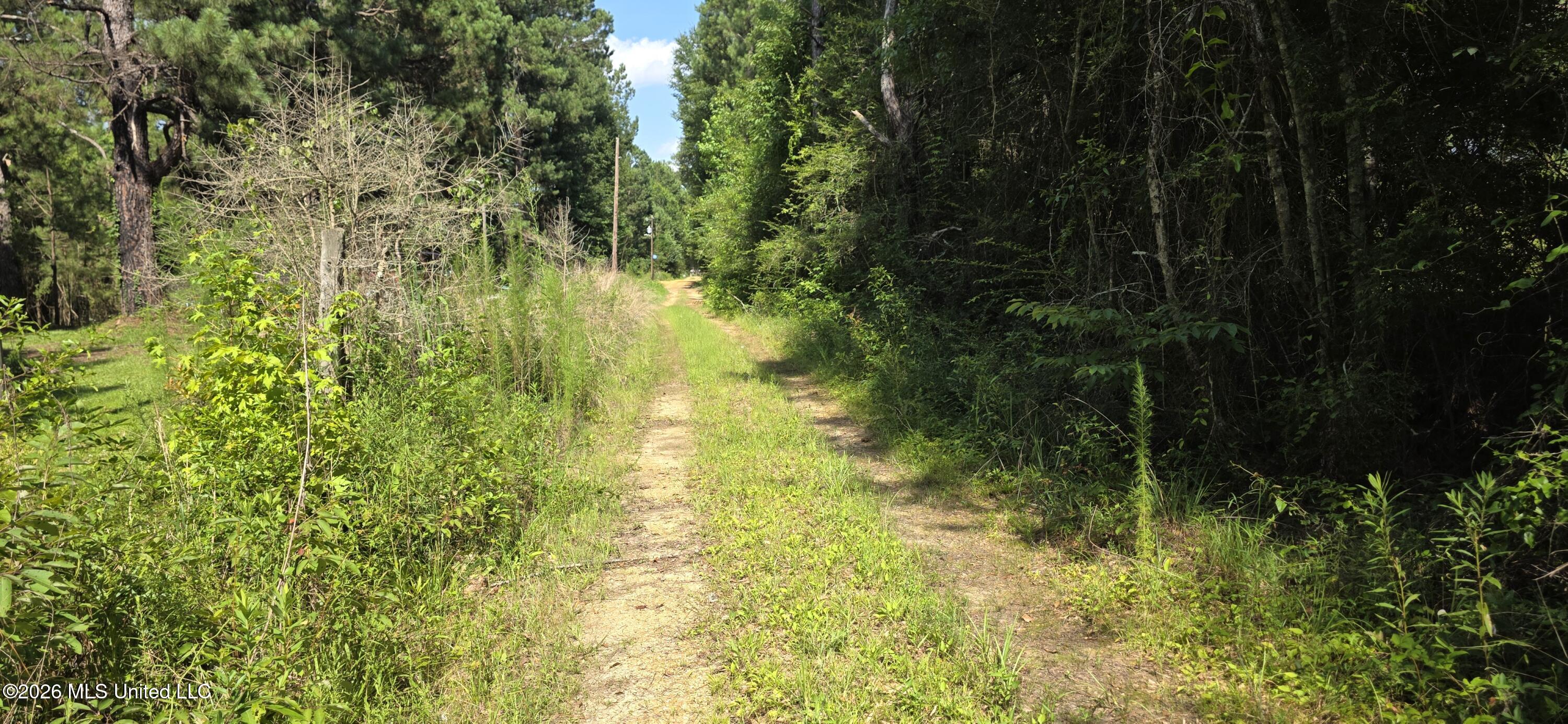2046 Barto Leggett Road McComb, MS 39648 - Photo 17 of 29 20260623_160702