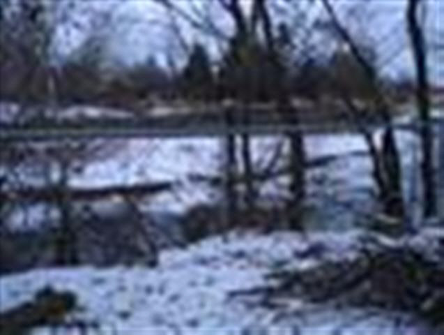3911 Sciscoe Road Muncie, IN 47302 - Photo 3 of 11