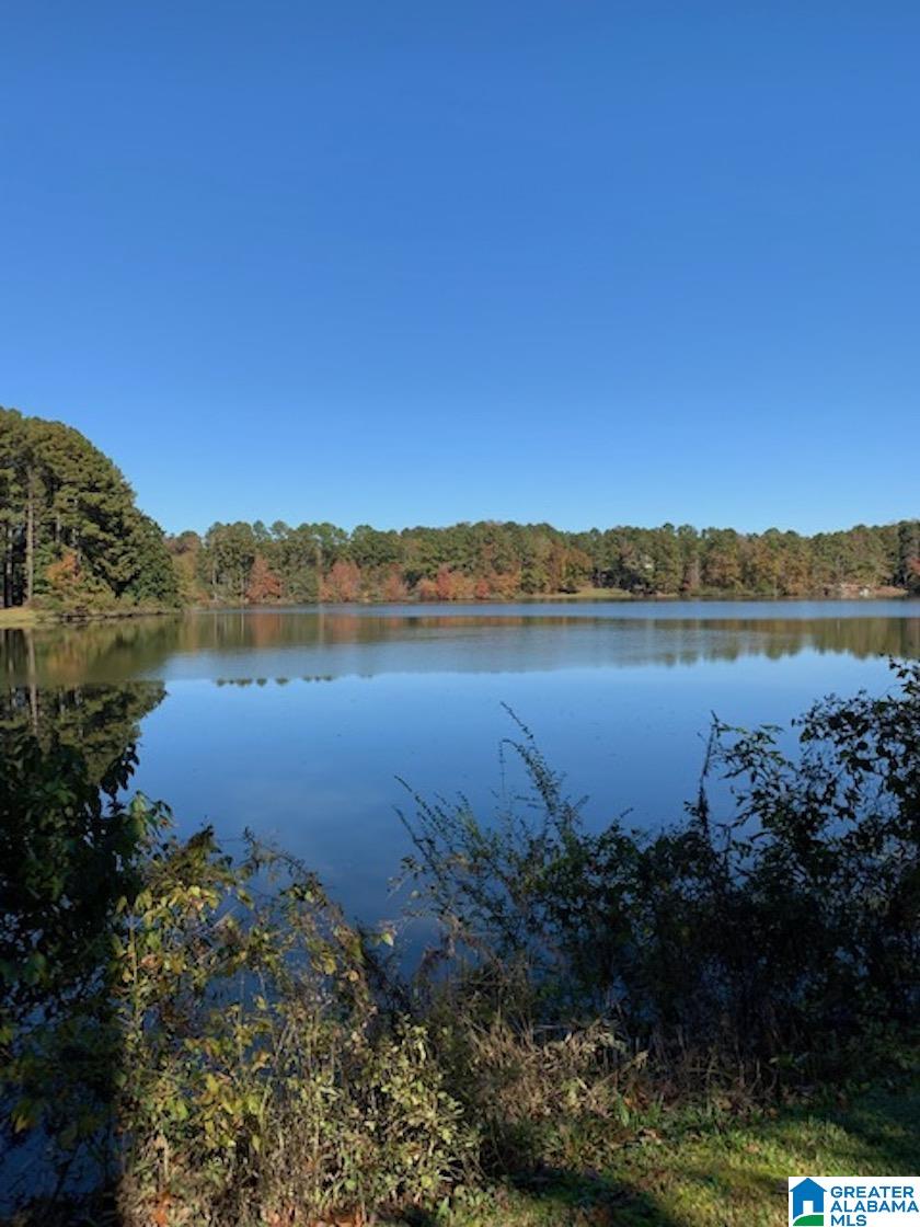 6430 Ransom Road Birmingham, AL 35210 - Photo 13 of 40
