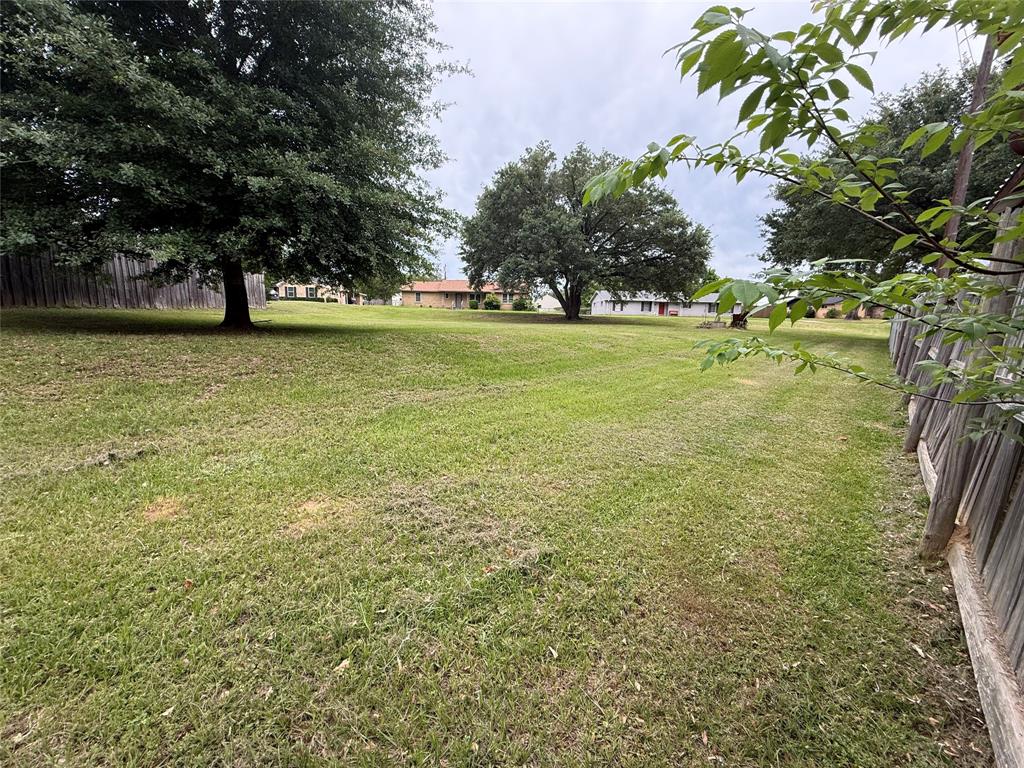 3303 Bogota Road Athens, TX 75752 - Photo 4 of 5 a view of yard with green space and trees