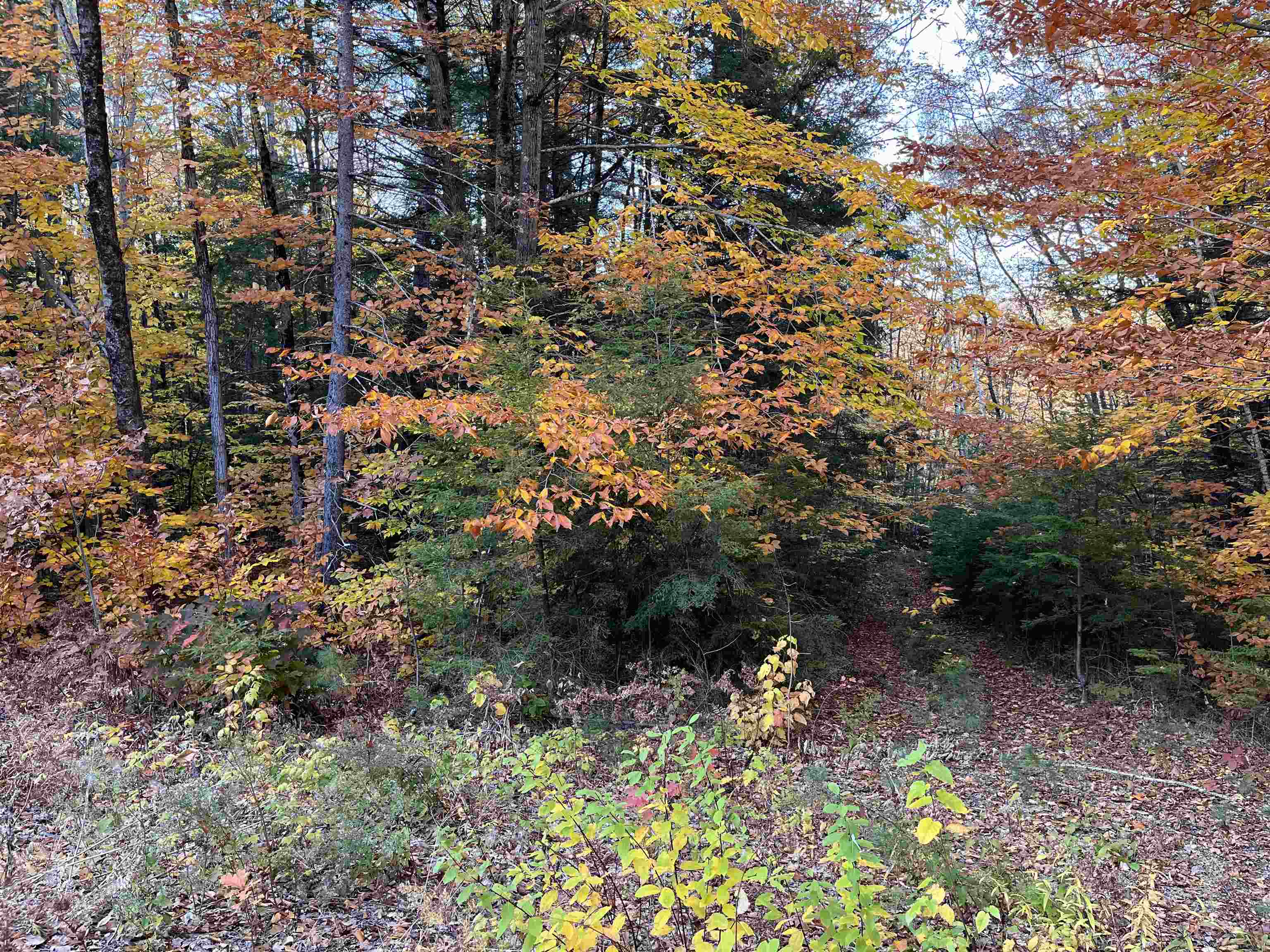 31 Hawk Road Bartlett, NH 03812 - Photo 1 of 6 Gallery Image 1