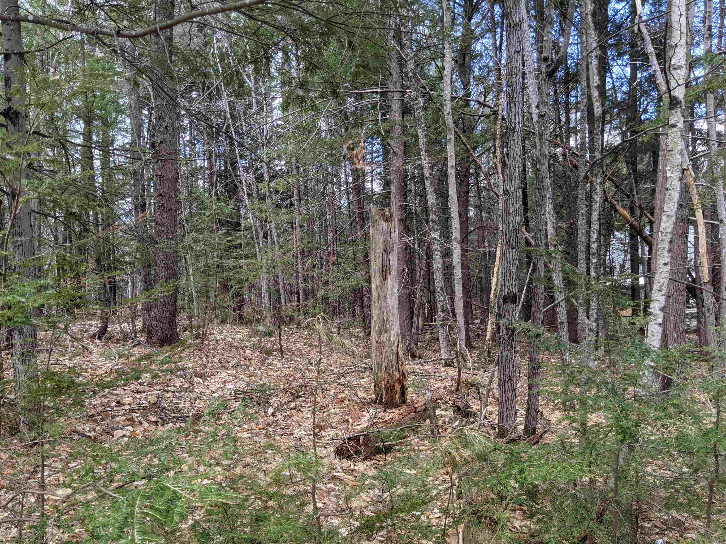 31 Hawk Road Bartlett, NH 03812 - Photo 5 of 6 Gallery Image 5