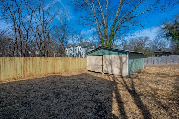 a view of backyard and tree