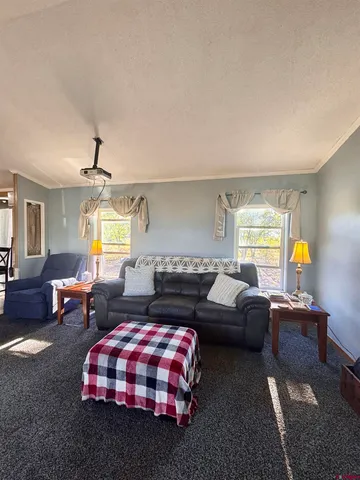 $209,000 | 10075 Ln 1 North, Mosca, CO 81146