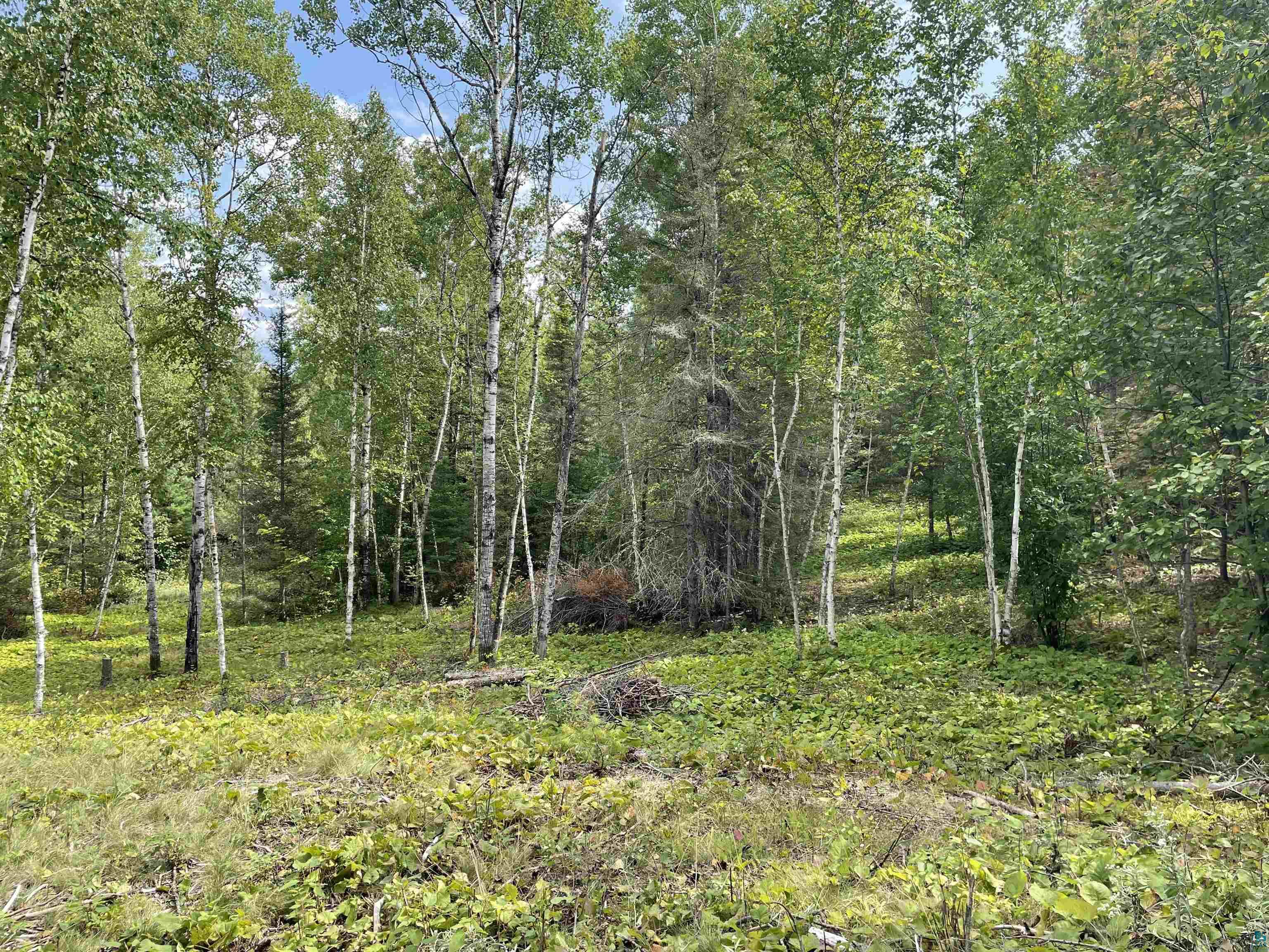 13858 Outback Road Ely, MN 55731 - Photo 16 of 19