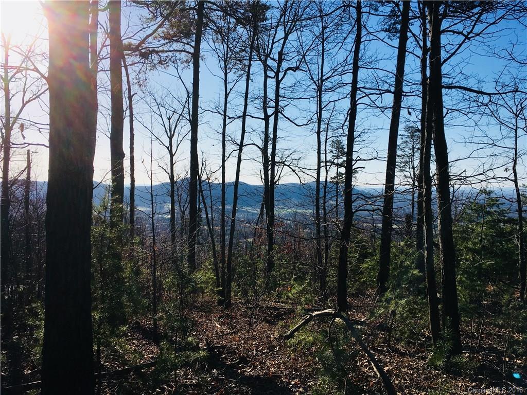 0 Arbra Mountain Road, Unit 38 Bostic, NC 28018 - Photo 2 of 4 a view of outdoor space