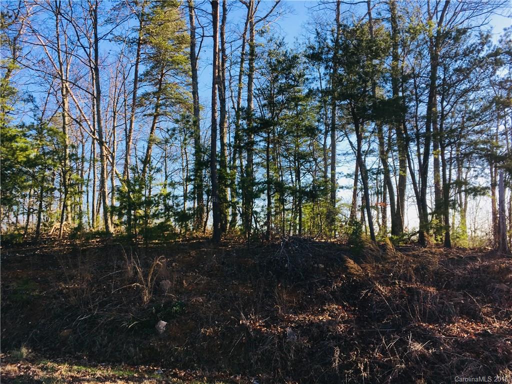 0 Arbra Mountain Road, Unit 38 Bostic, NC 28018 - Photo 4 of 4 a view of a yard