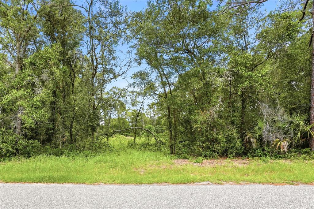 7002 North Castlebury Road Hernando, FL 34442 - Photo 5 of 29
