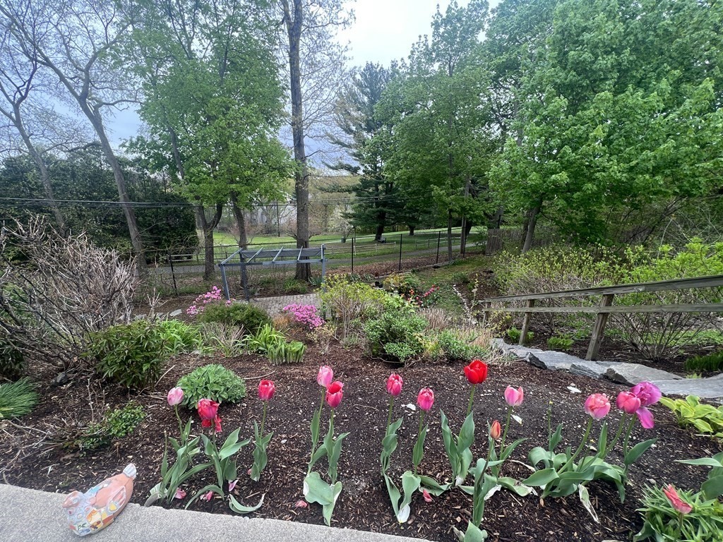 51 Algonquin Road, Unit 1 Newton, MA 02467 - Photo 17 of 19 Gallery Image 17