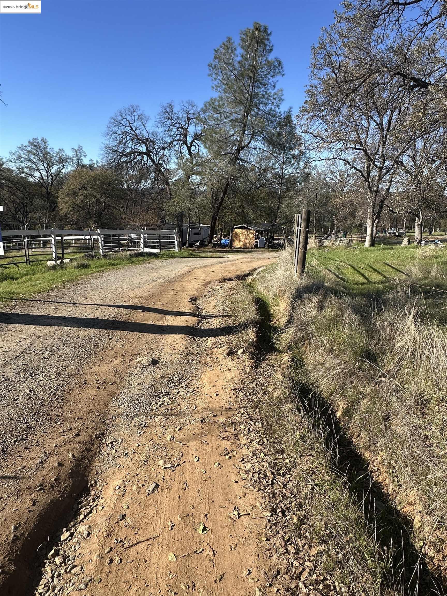 13788 Kincaid Flat Road Sonora, CA 95370 - Photo 4 of 12 a view of yard with trees