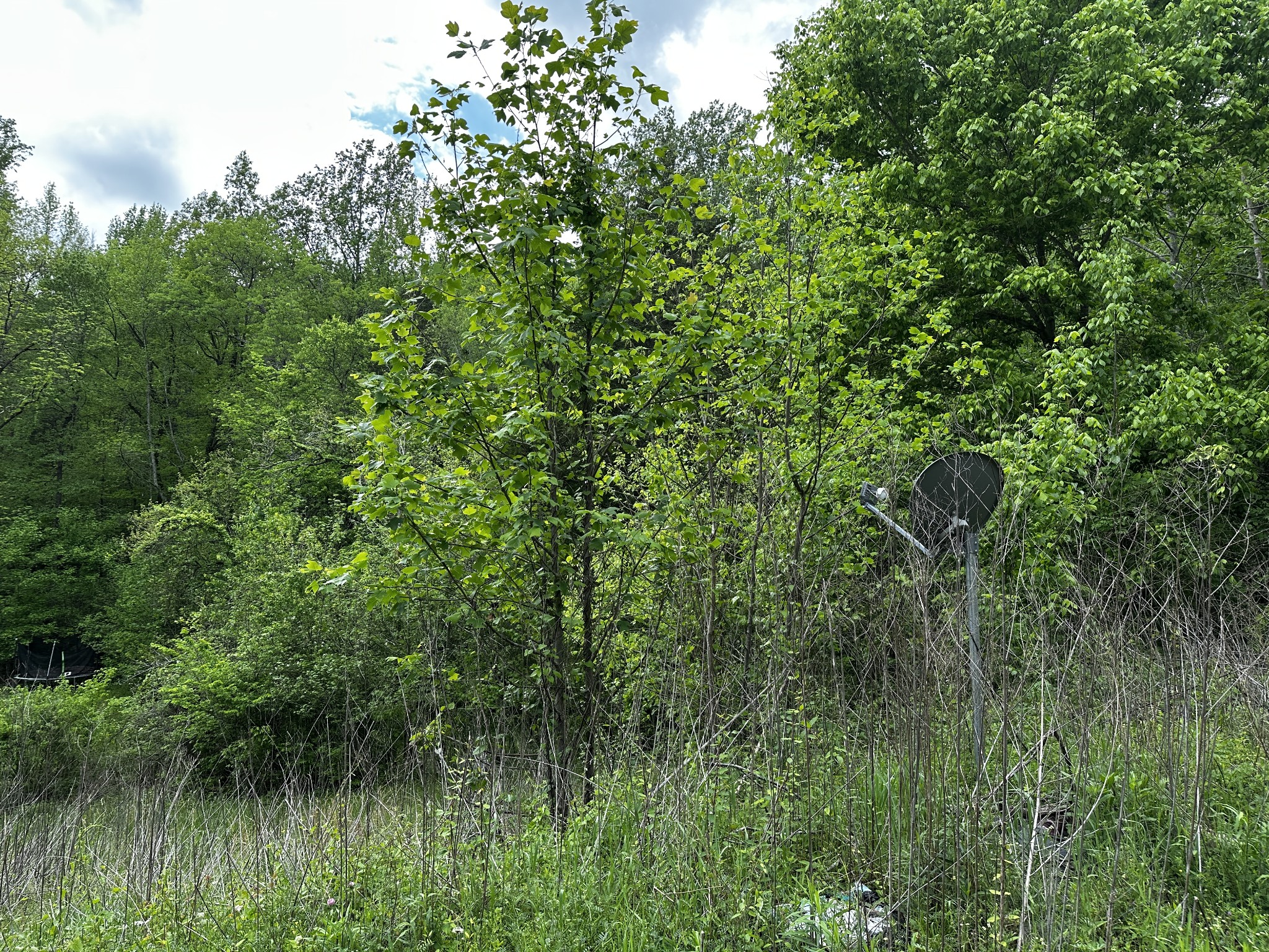 910 Warren Hollow Road Clifton, TN 38425 - Photo 5 of 6 Gallery Image 5