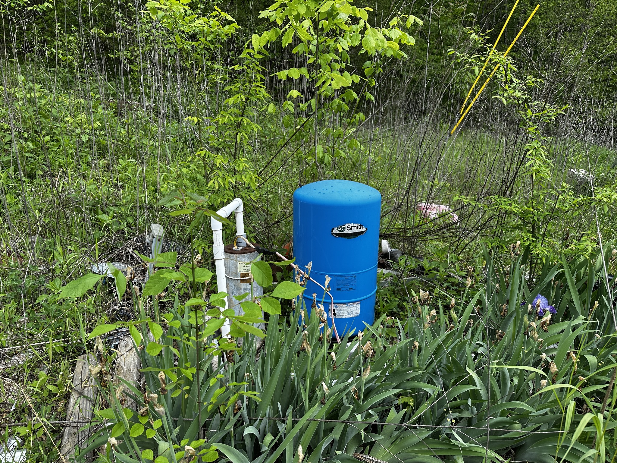 910 Warren Hollow Road Clifton, TN 38425 - Photo 6 of 6 Gallery Image 6
