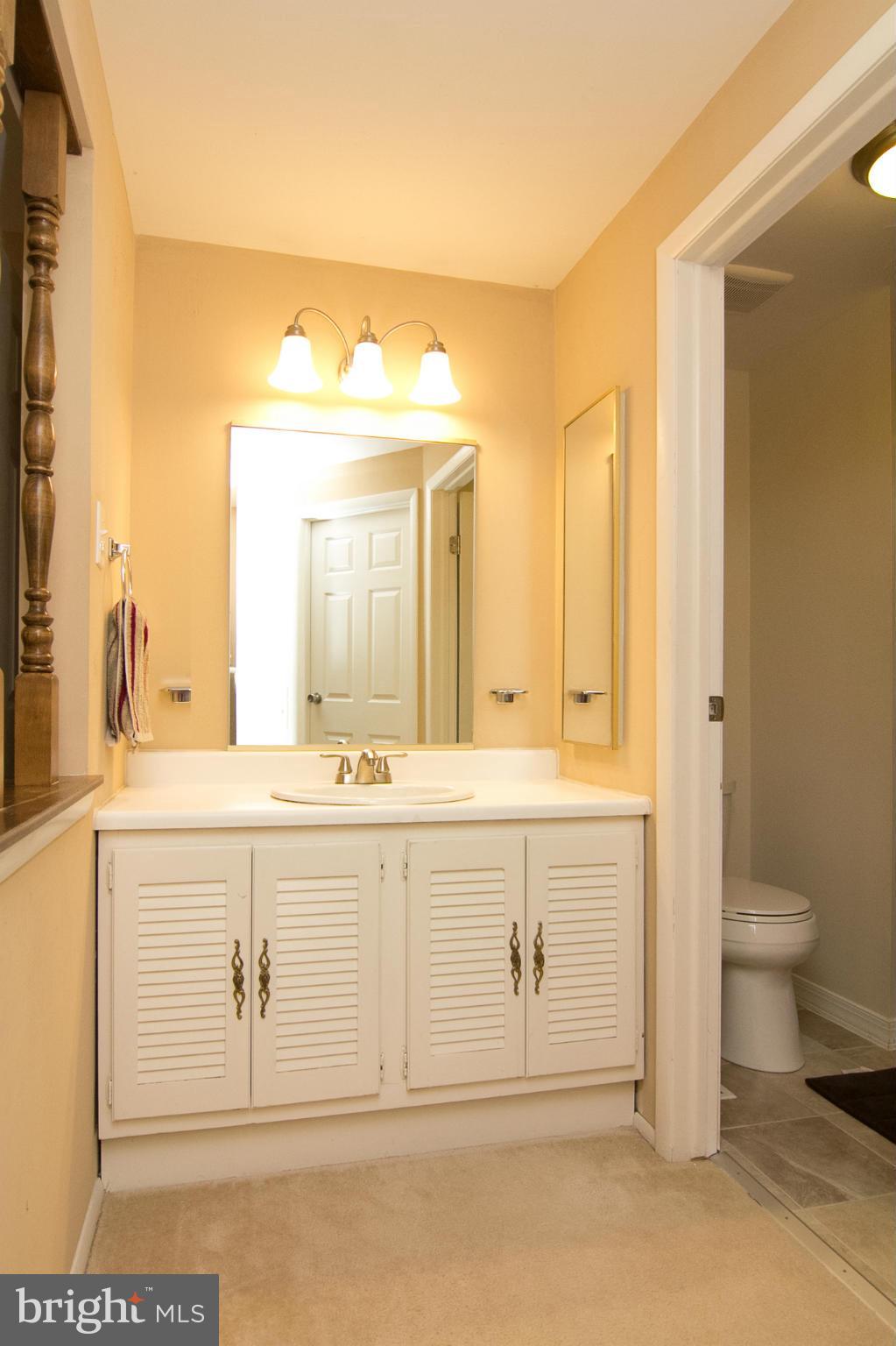 343 Timber Grove Road Owings Mills, MD 21117 - Photo 15 of 29 a bathroom with a sink a toilet and a mirror