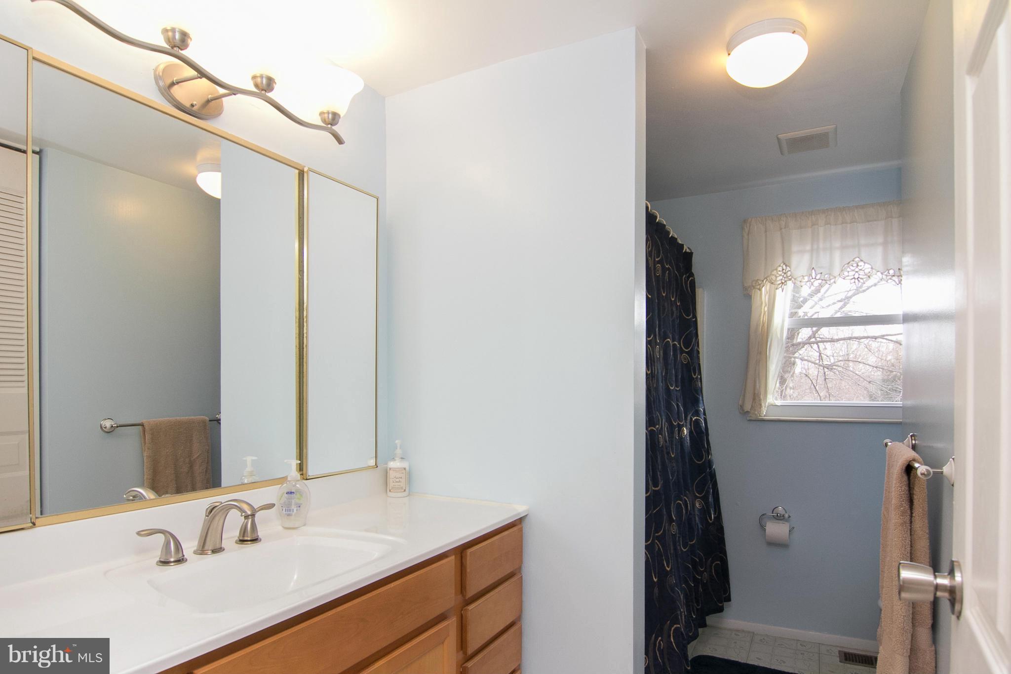 343 Timber Grove Road Owings Mills, MD 21117 - Photo 23 of 29 a bathroom with a sink vanity granite and a mirror