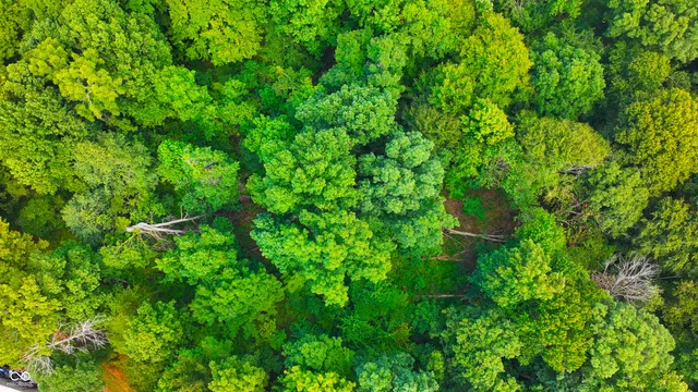 $124,900 | 5718 Harrington Road, Freedom, IN 47431