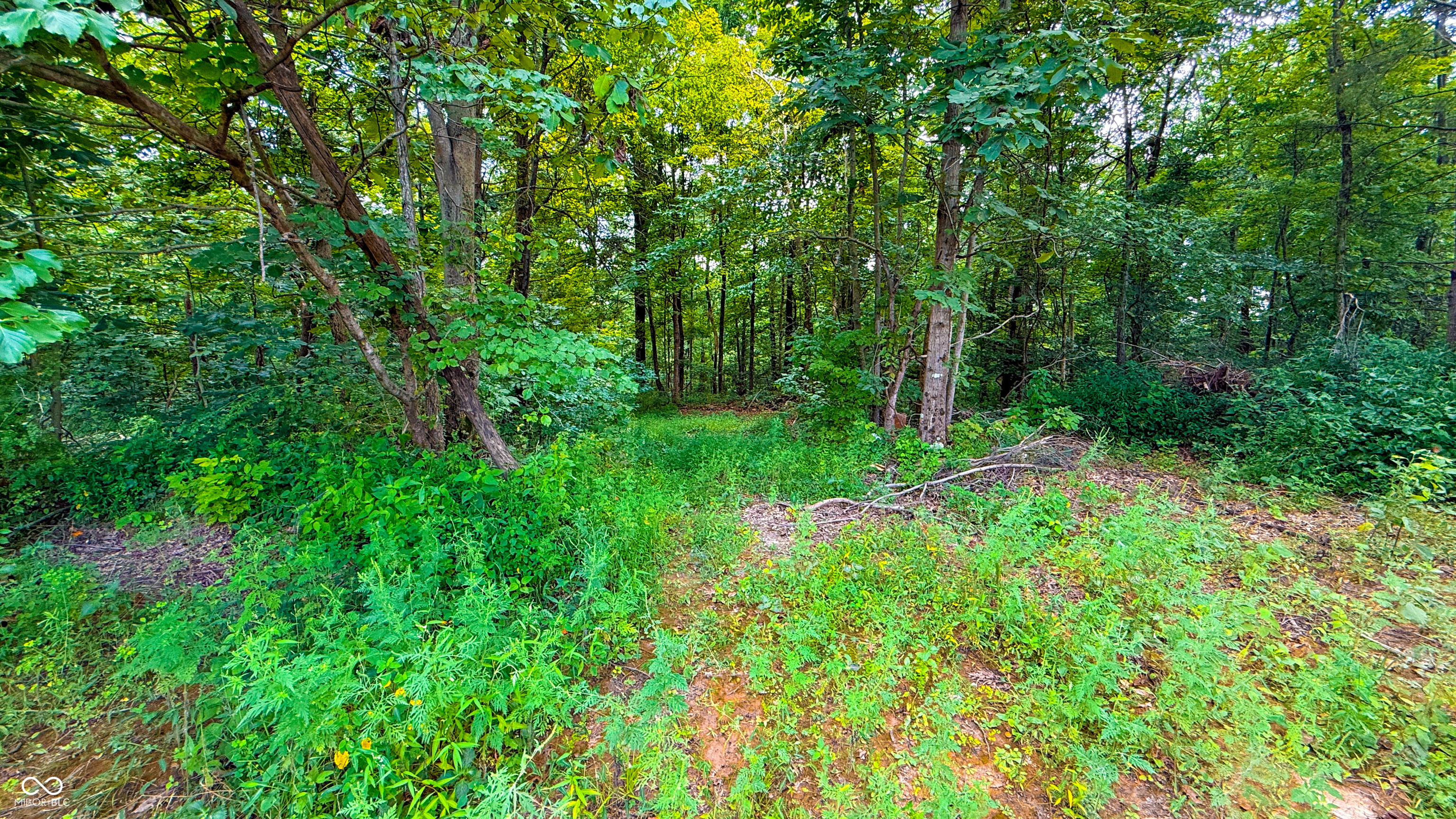 5718 Harrington Road Freedom, IN 47431 - Photo 9 of 18