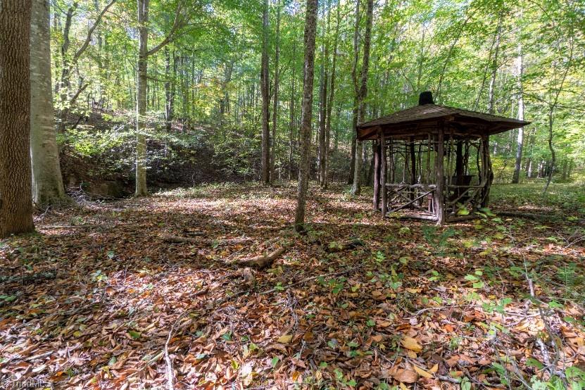 1380 Tom Mix Road Westfield, NC 27053 - Photo 11 of 46 Gallery Image 11
