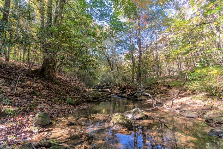 1380 Tom Mix Road Westfield, NC 27053 - Photo 12 of 46 Gallery Image 12