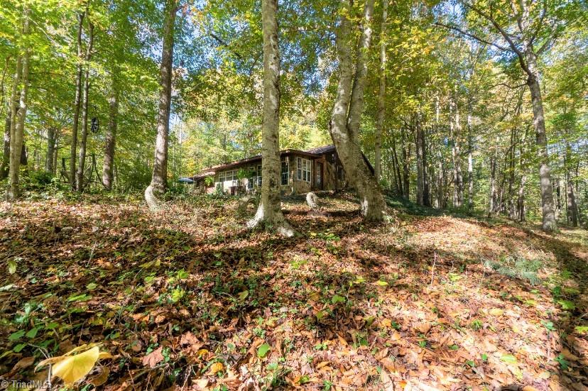 1380 Tom Mix Road Westfield, NC 27053 - Photo 14 of 46 Gallery Image 14