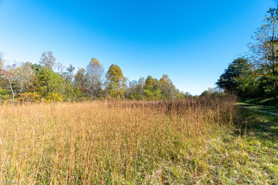 1380 Tom Mix Road Westfield, NC 27053 - Photo 45 of 46 Gallery Image 45