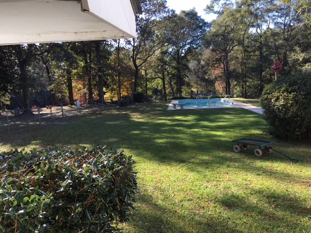 12360 Bromley Road Stapleton, AL 36578 - Photo 11 of 20 Backyard