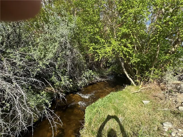 $75,000 | 325 Davis Mdw Trail, Dyer, NV 89010