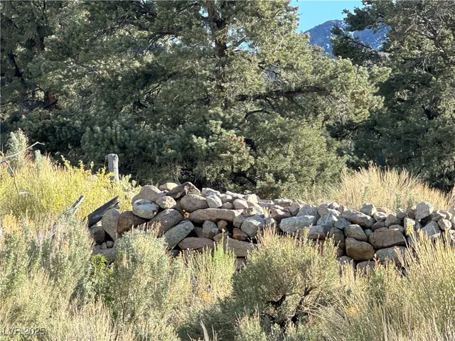 $75,000 | 325 Davis Mdw Trail, Dyer, NV 89010