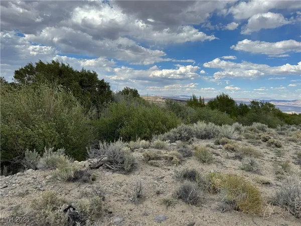 $69,000 | 325 Davis Mdw Trail, Dyer, NV 89010