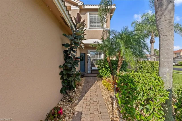 a view of a pathway with plants and large trees