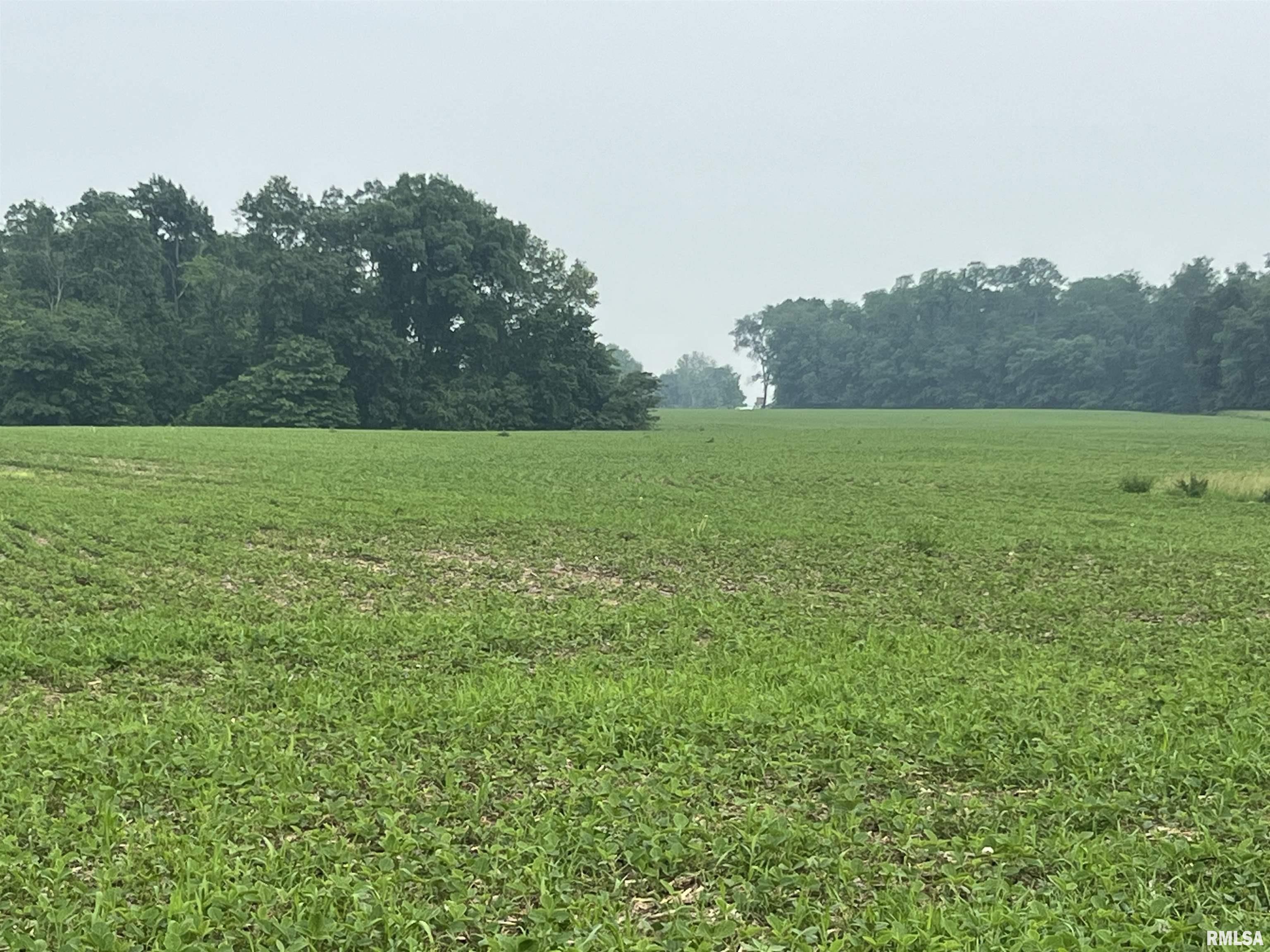 14953 East Grain Bin Road Lewistown, IL 61542 - Photo 2 of 7