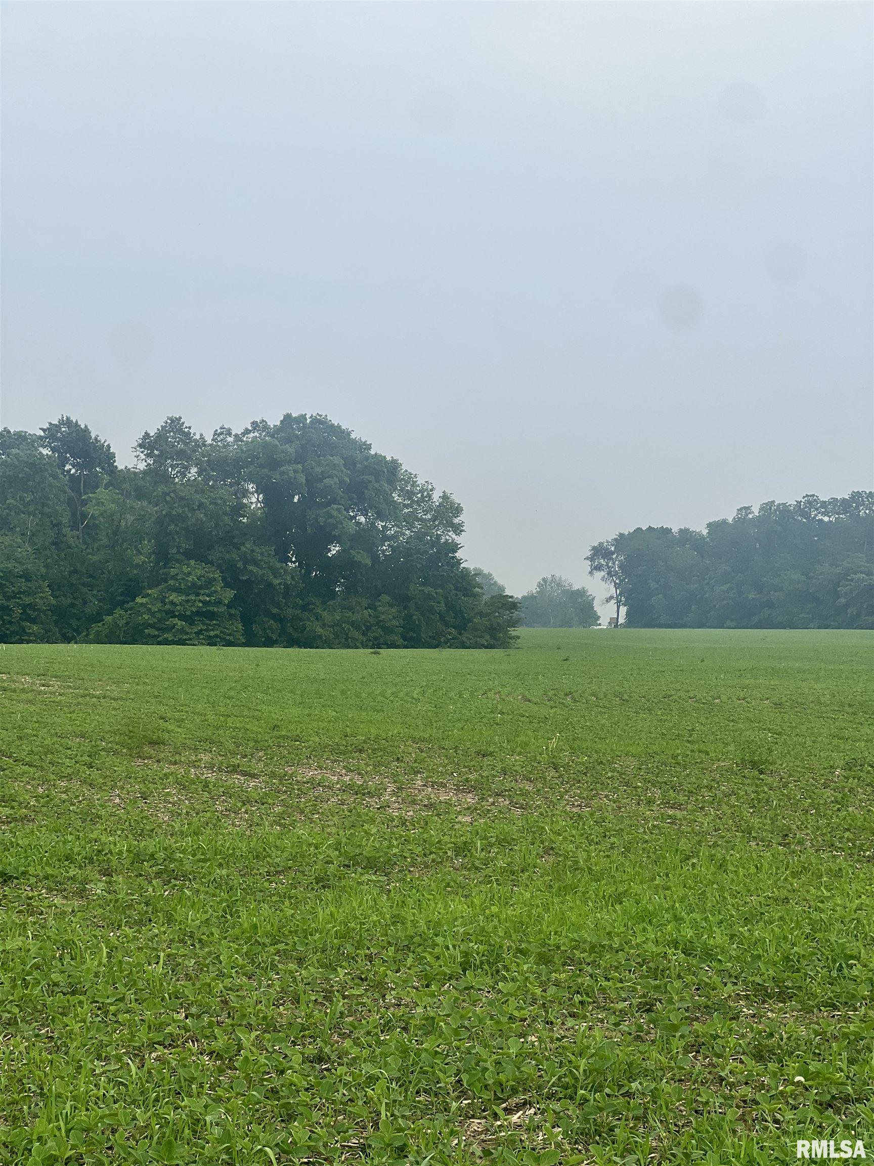 14953 East Grain Bin Road Lewistown, IL 61542 - Photo 3 of 7