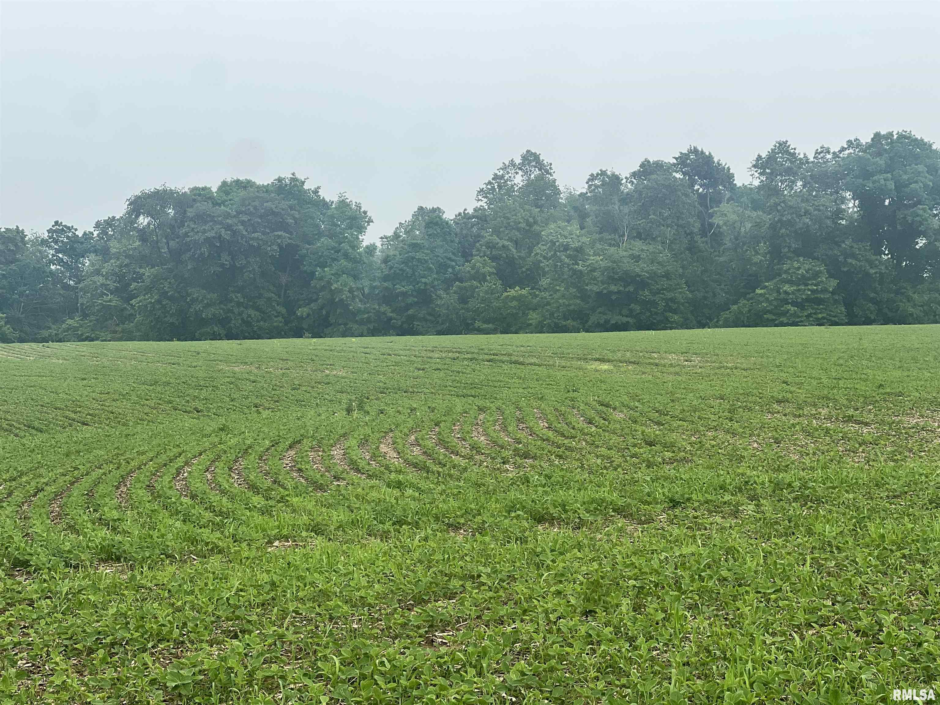 14953 East Grain Bin Road Lewistown, IL 61542 - Photo 5 of 7