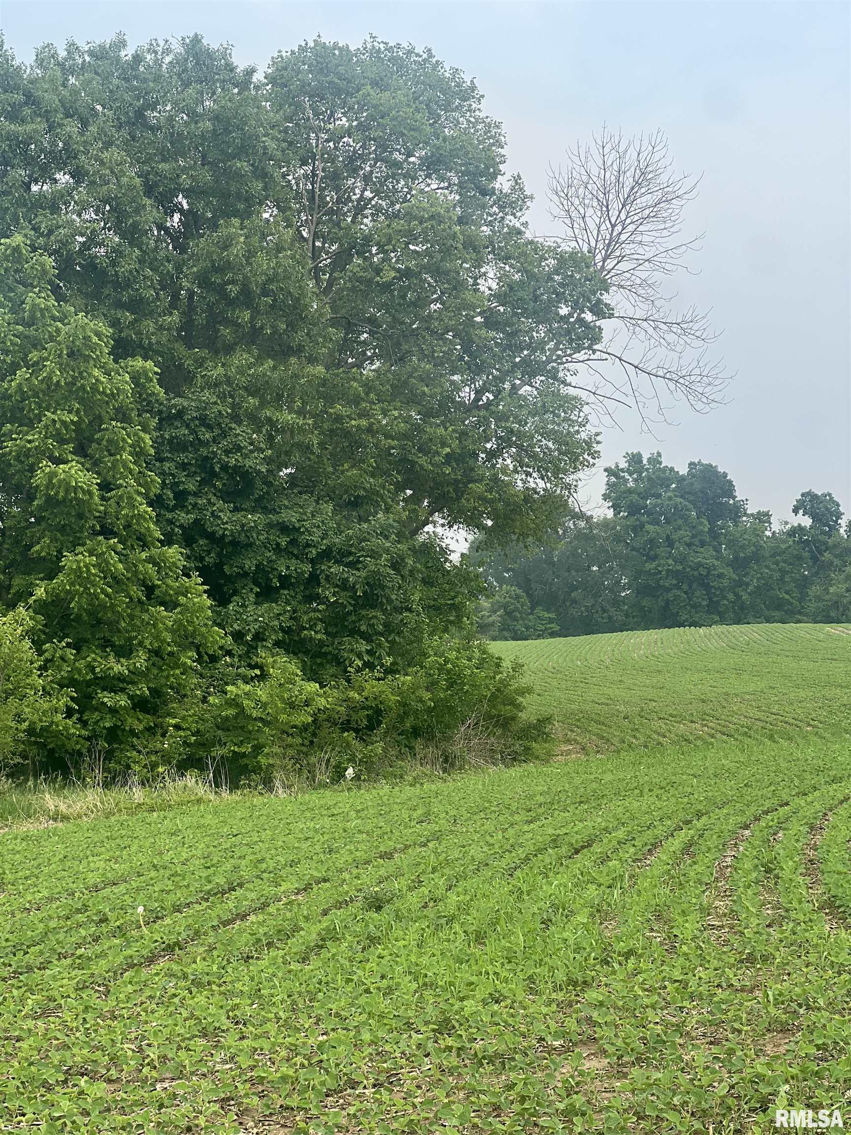 14953 East Grain Bin Road Lewistown, IL 61542 - Photo 6 of 7