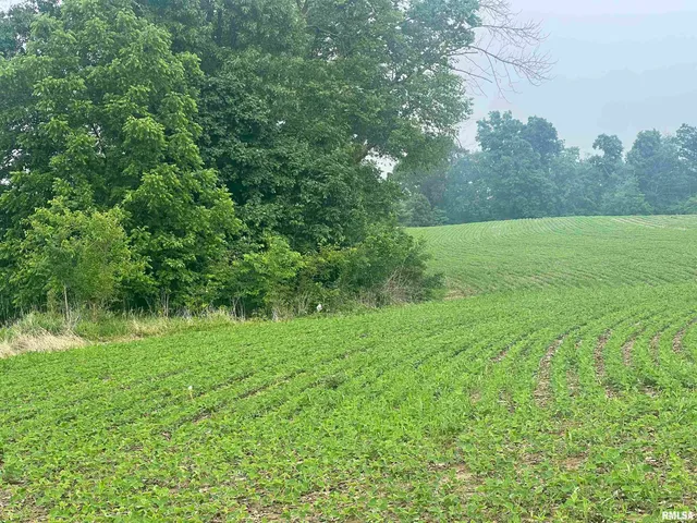 $160,000 | 14953 East Grain Bin Road, Lewistown, IL 61542