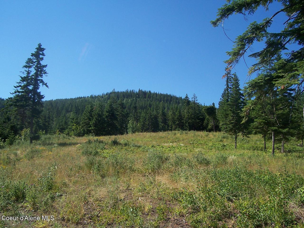 Nna South Mellick Road Post Falls, ID 83854 - Photo 4 of 5 Mellick View 4