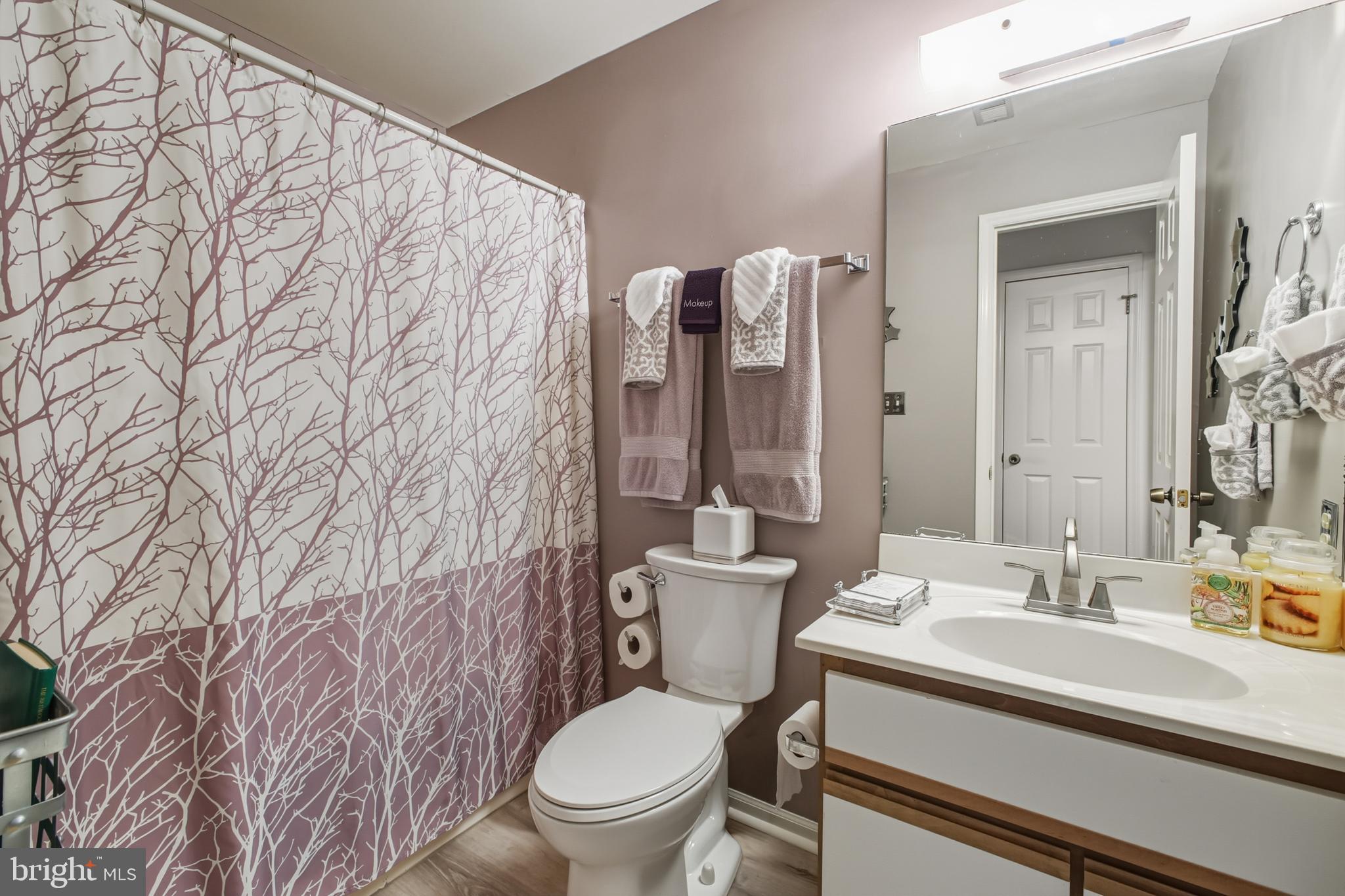 85 Ridge Court, Unit 3 Basye, VA 22842 - Photo 38 of 58 Lower Level - Full Bath