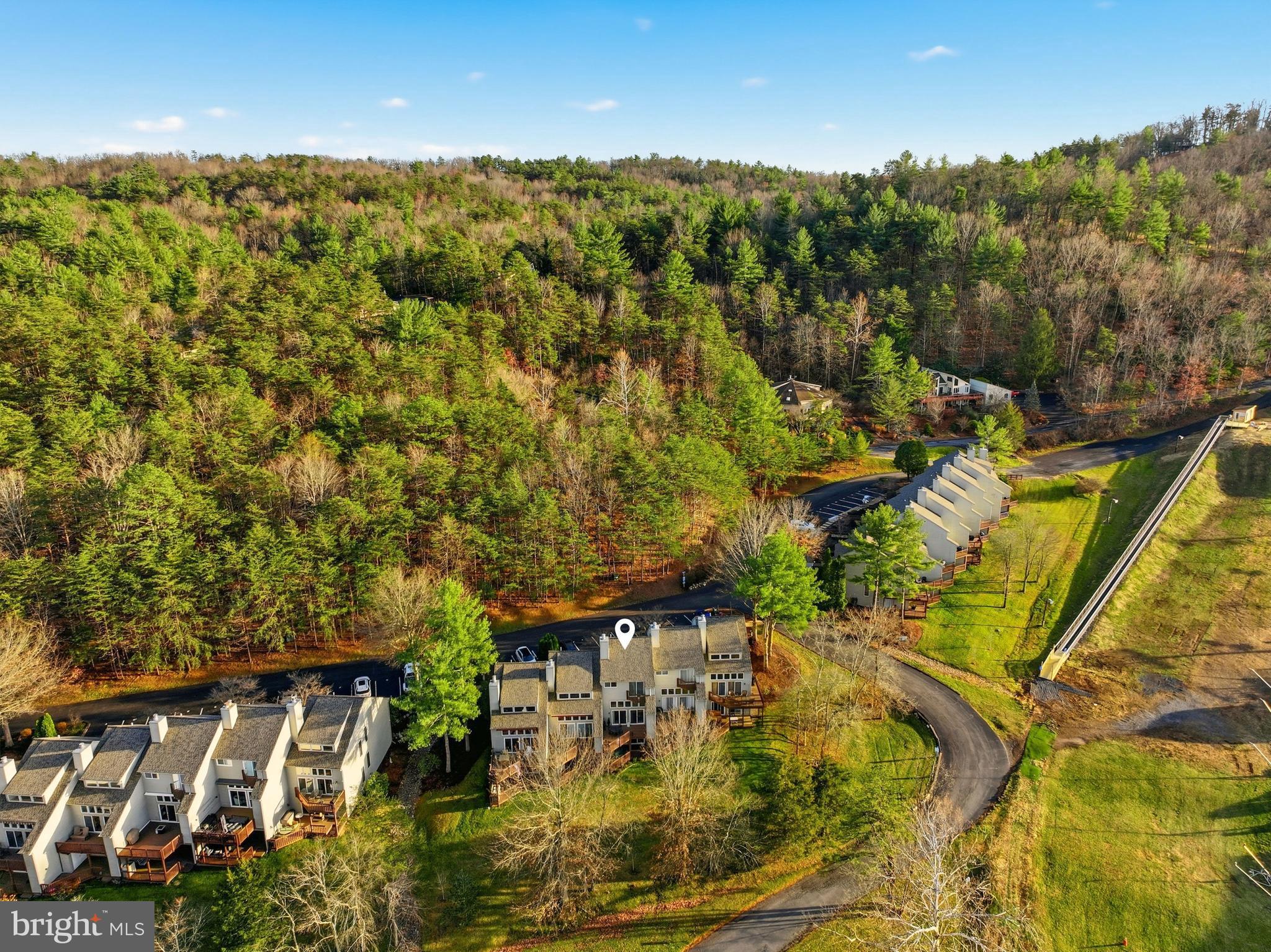 85 Ridge Court, Unit 3 Basye, VA 22842 - Photo 49 of 58 Resort